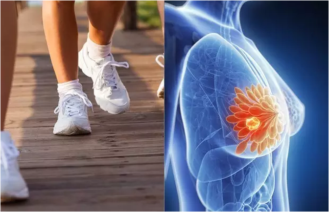 hjc888黄金城--手机版app官网