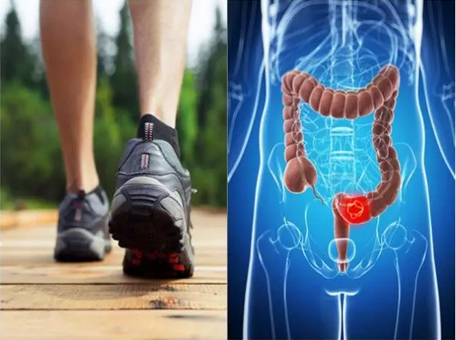 hjc888黄金城--手机版app官网