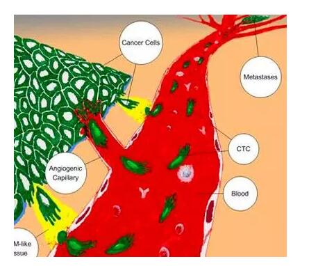 hjc888黄金城--手机版app官网